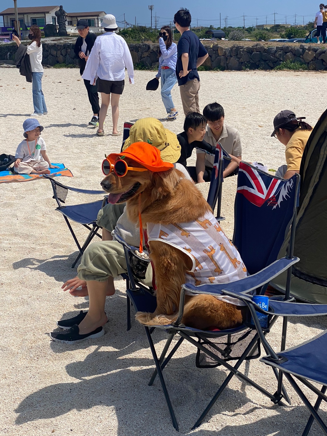 이미지 수정 합니다 빚 못 갚자 "여자친구 팔겠다"…MZ조폭 징역 5년