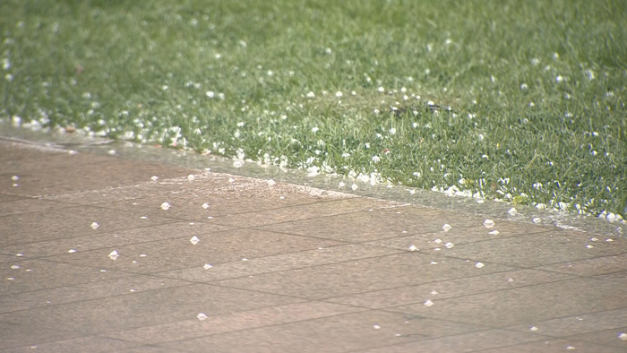 서울 5월에 우박 쏟아져…"대기불안정 원인"