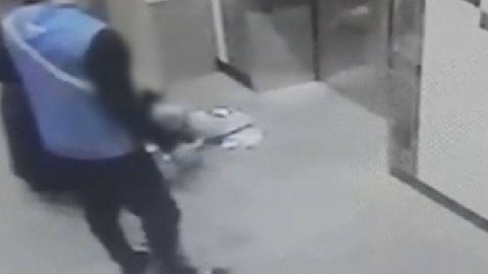 엘리베이터에 목줄 낀 강아지 살린 택배기사