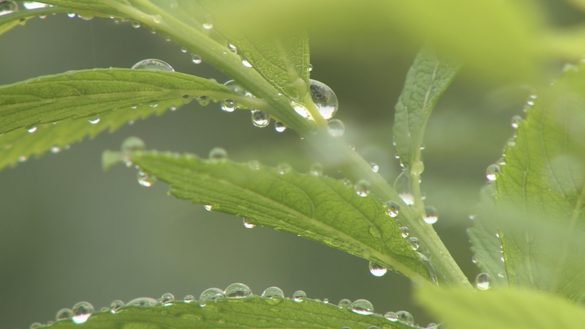 전국 대부분 비…남해안ㆍ제주 호우 주의