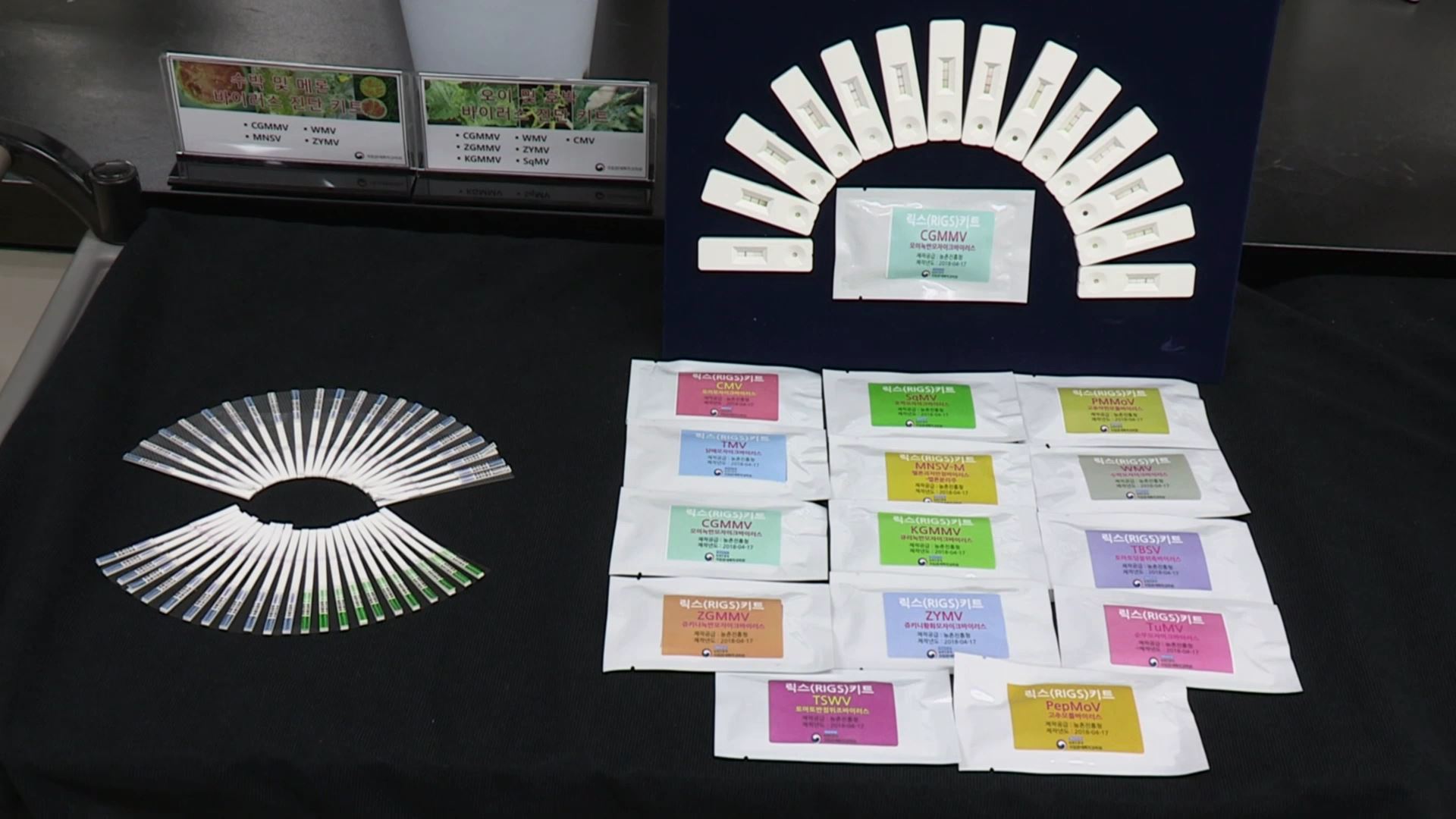 치명적 농작물 바이러스 '휴대용 키트'로 2<em class='find'>분</em>만에 진단