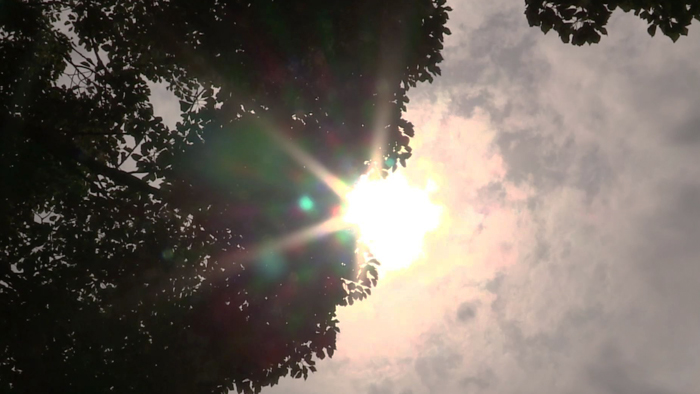 올여름 더 덥다…8월 기습 물폭탄 주의