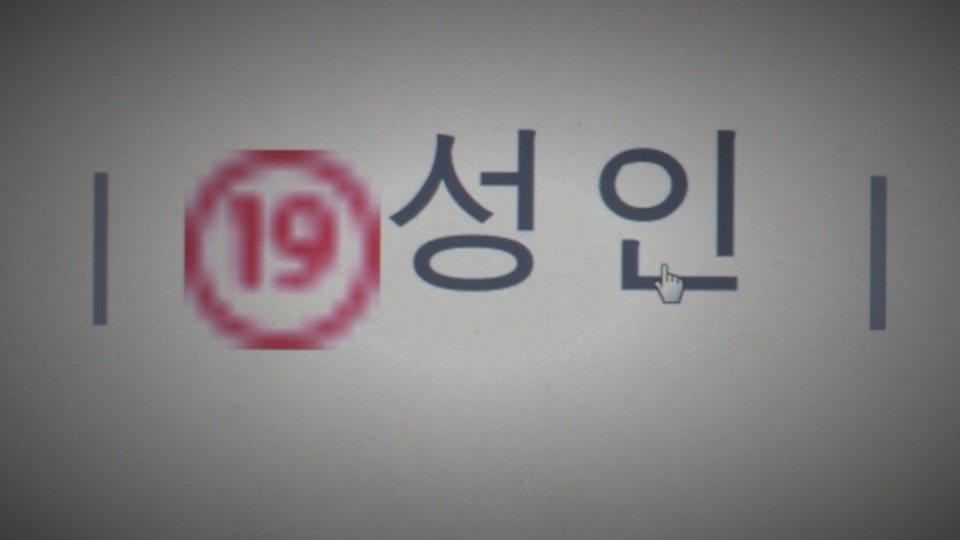 유튜버 노출사진 유포 남성 체포…"재유포만 했다"