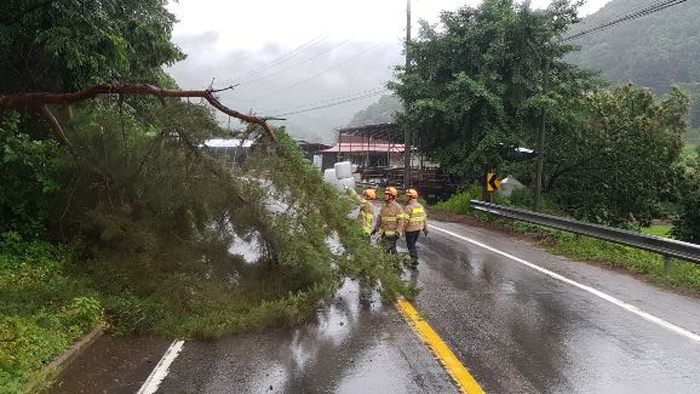 장마폭우로 1명 부상ㆍ1명 실종…주택ㆍ<em class='find'>차량</em> 침수 속출