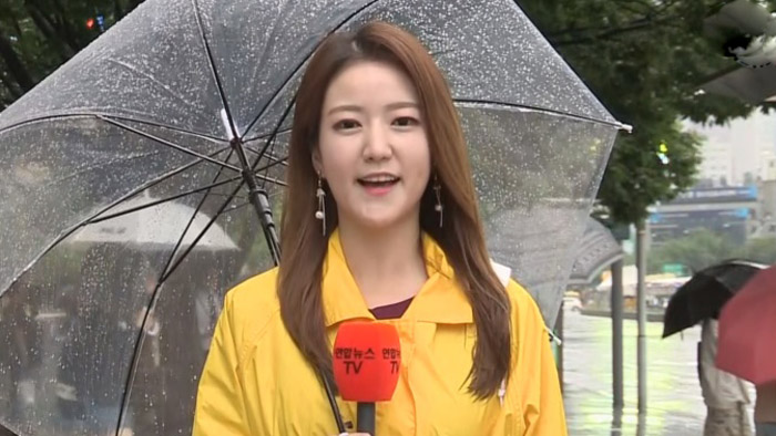 [<em class='find'>날씨</em>] 내일까지 많은 비…장마·태풍 영향 200mm 이상