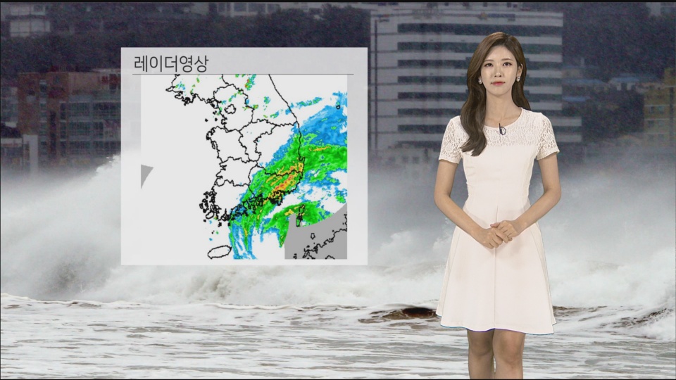[날씨] 영남 해안 강한 비바람…밤사이 태풍 고비