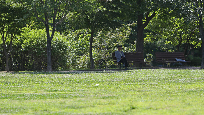 '잠 못 드는 열대야'…도심 공원 시민 '북적'