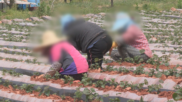 폭염에 온열환자 속출…물놀이 사고도 잇달아