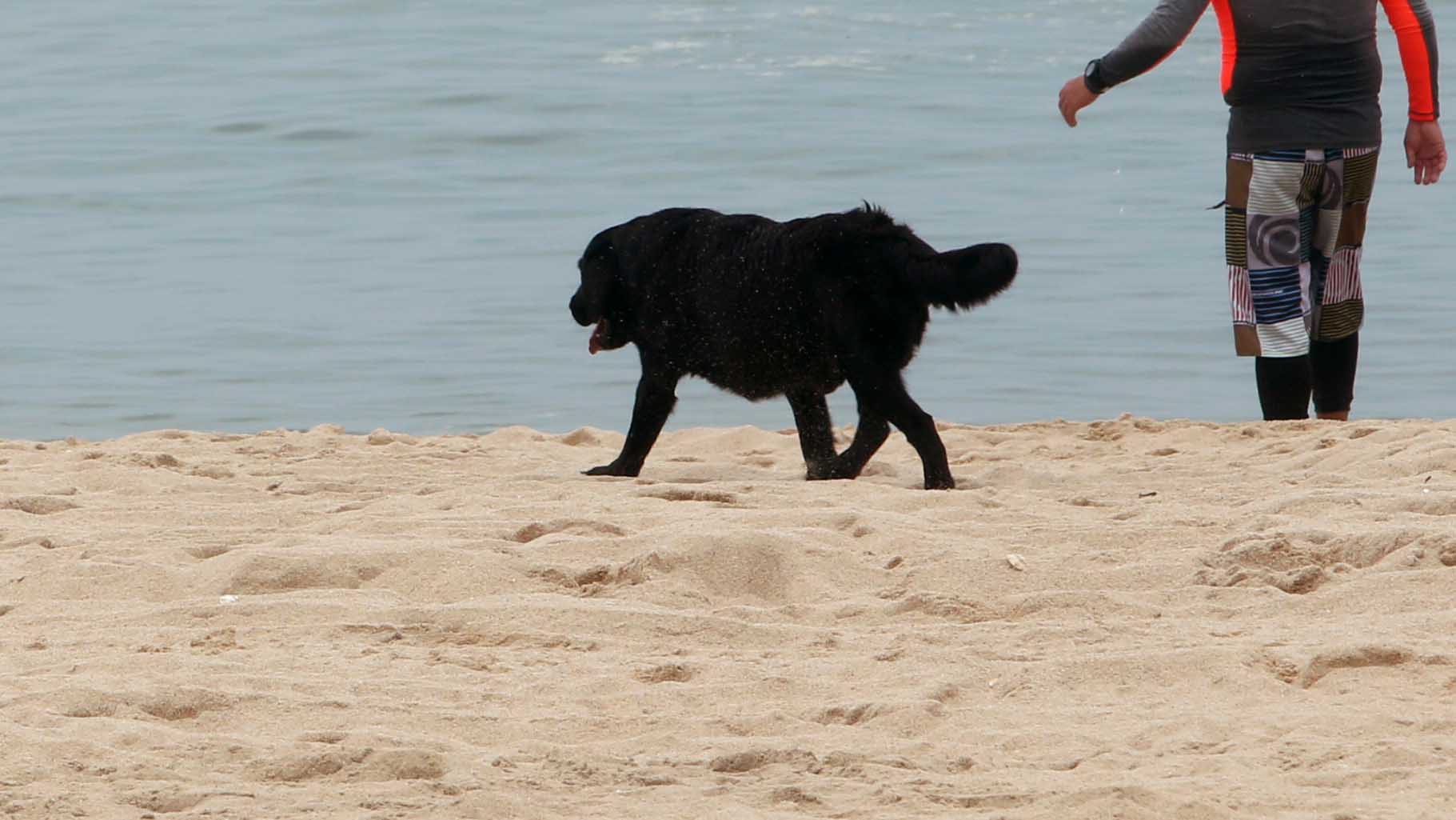 강릉 폭염경보 36.3도…닷새째 열대야 지속