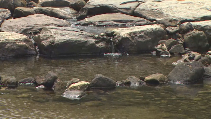 도심 속 피서지에서 더위 날려요!