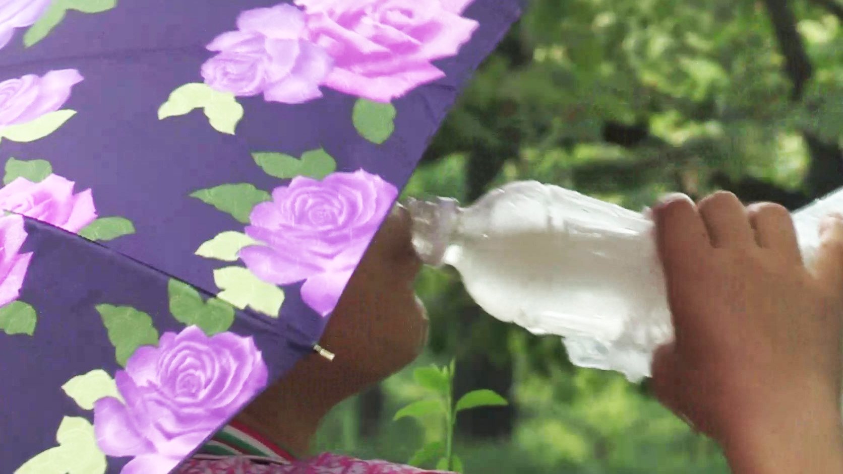 폭염에 사망자 속출…"갈증 안나도 물 섭취"