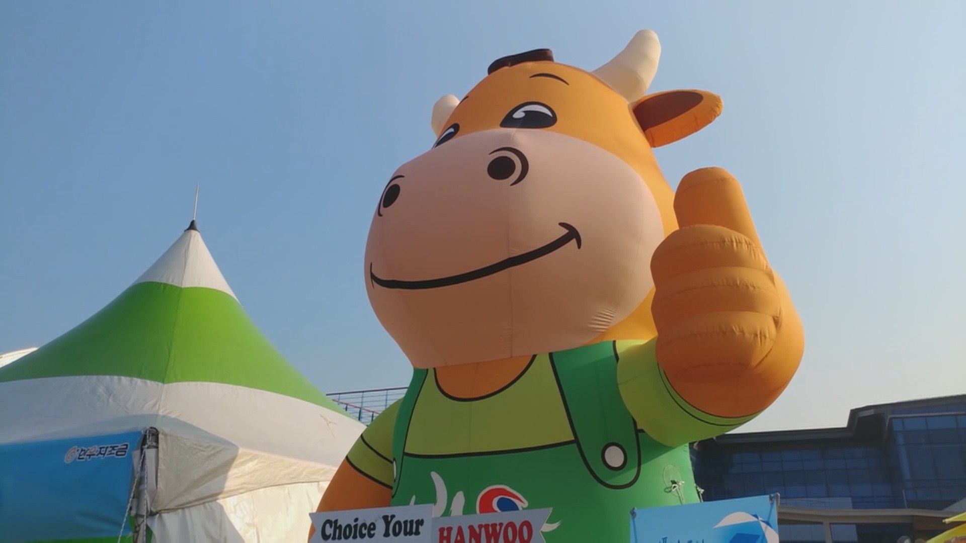 한우자조금 '동해 뮤직페스티벌'<em class='find'>에</em>서 한우 홍보