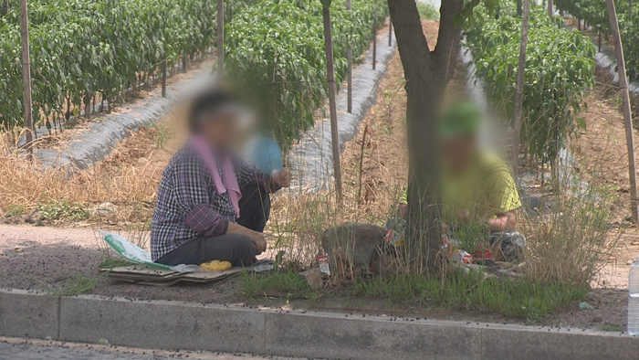 부산서 온열질환 80대 여성ㆍ40대 남성 사망