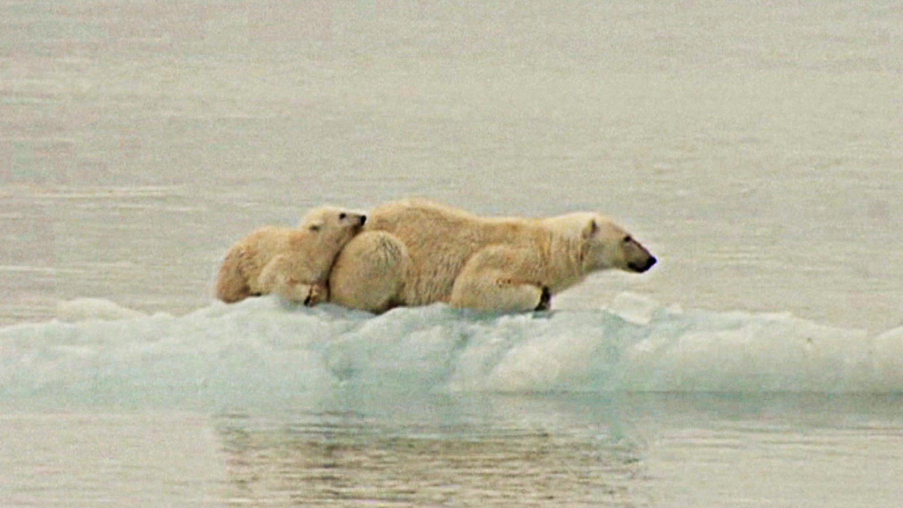 북극권도 32도…"여름 내내 기상이변 나타날 것"
