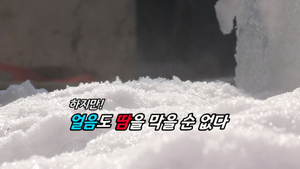 [<em class='find'>영상</em>구성] 폭염 절정