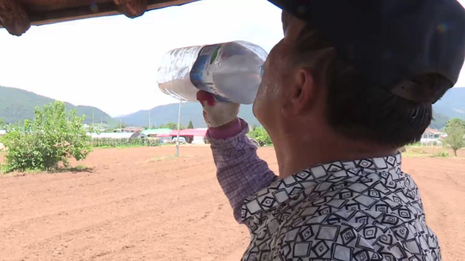 또 경신, 경산 40.5도…기상청 "목숨 위협하는 폭염"