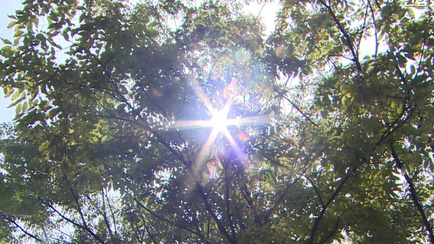 태풍 영향 희비 엇갈려…폭염 동해안 완화ㆍ서쪽 강화