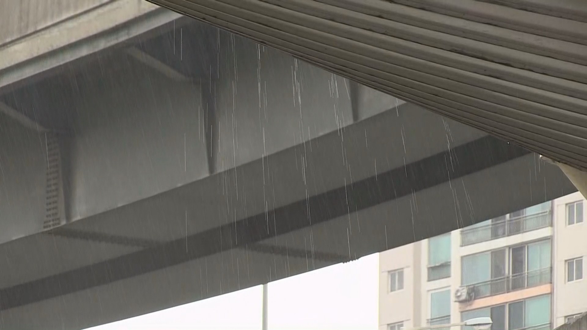 폭염 속 소나기…태풍 '종다리' 더위 꺾기엔 역부족