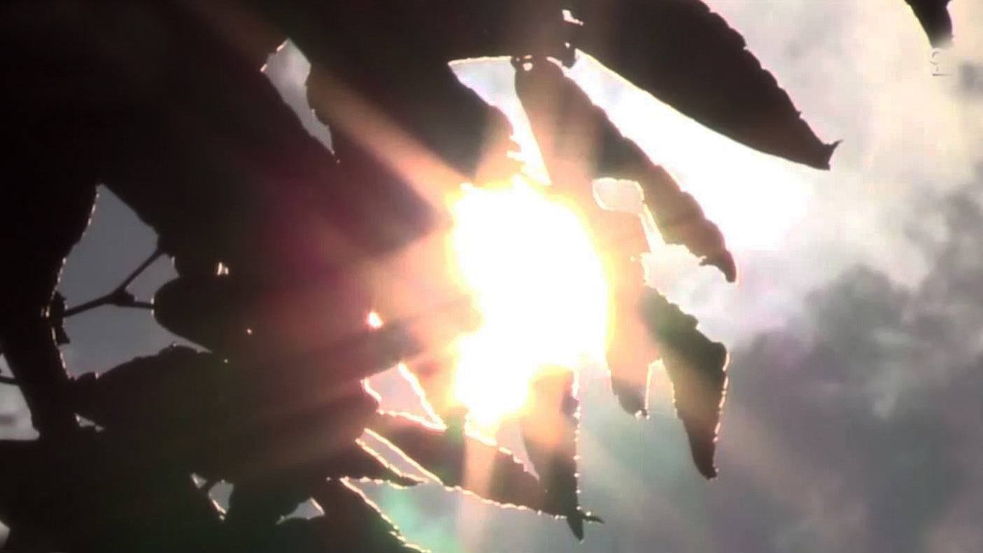 서쪽 폭염ㆍ동해안 비…이번 주 기록적 더위 온다