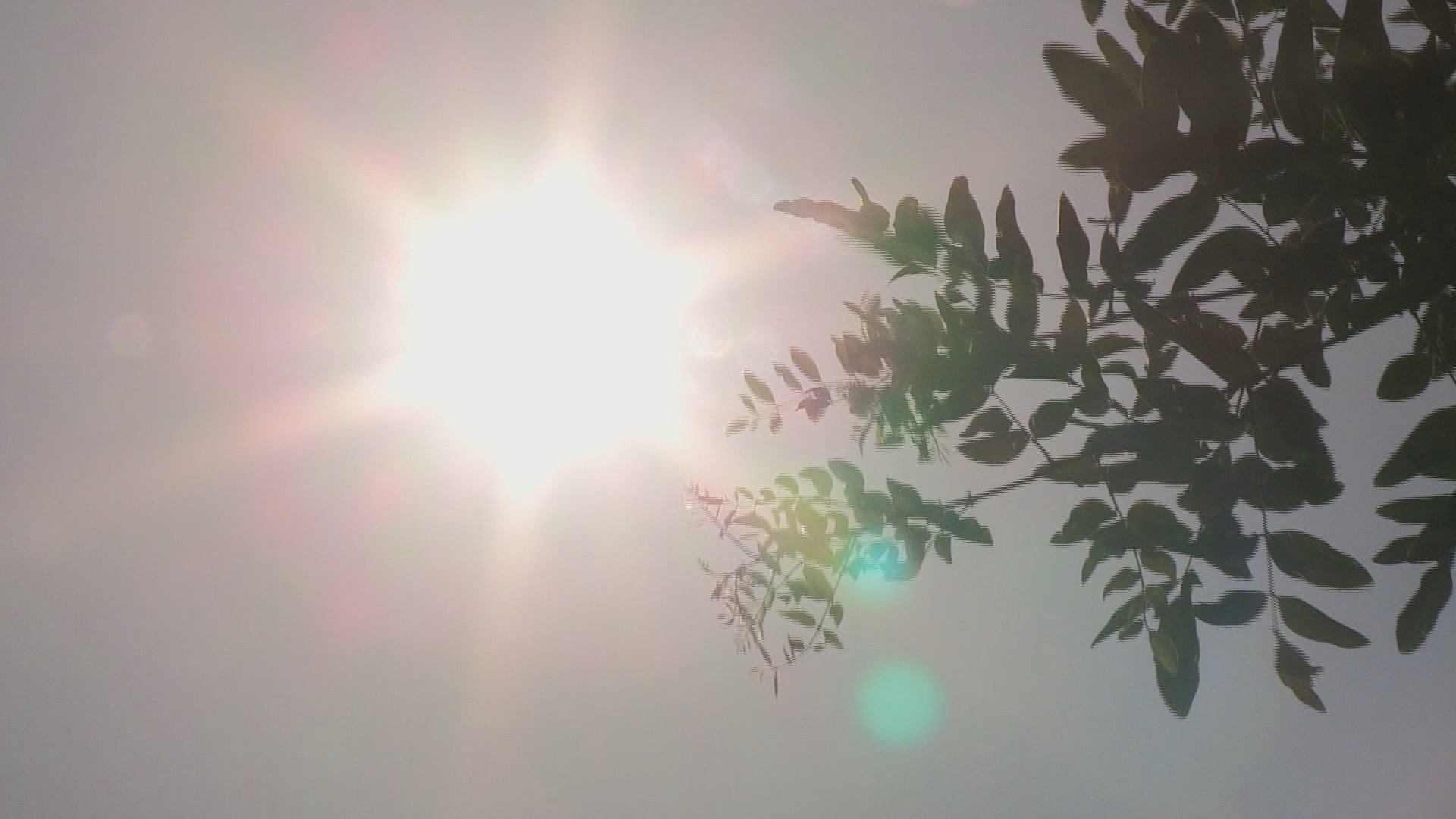 서울 첫 폭염경보…주말도 <em class='find'>35</em>도 안팎 더위