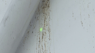 국립현대미술관 청주 끝나지 않는 비둘기 퇴치 '<em class='find'>전쟁</em>'