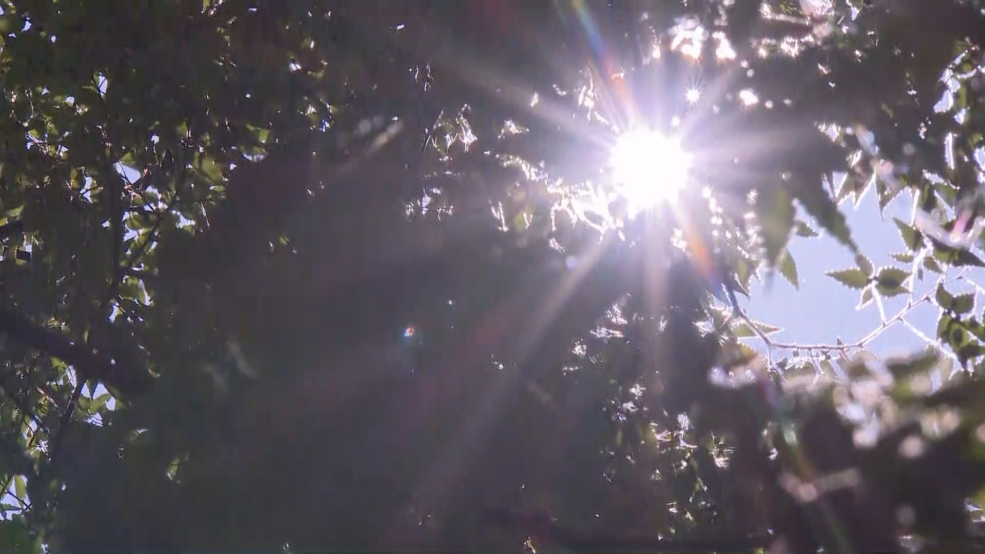 "덥다 더워" 다음 주 초까지 무더위