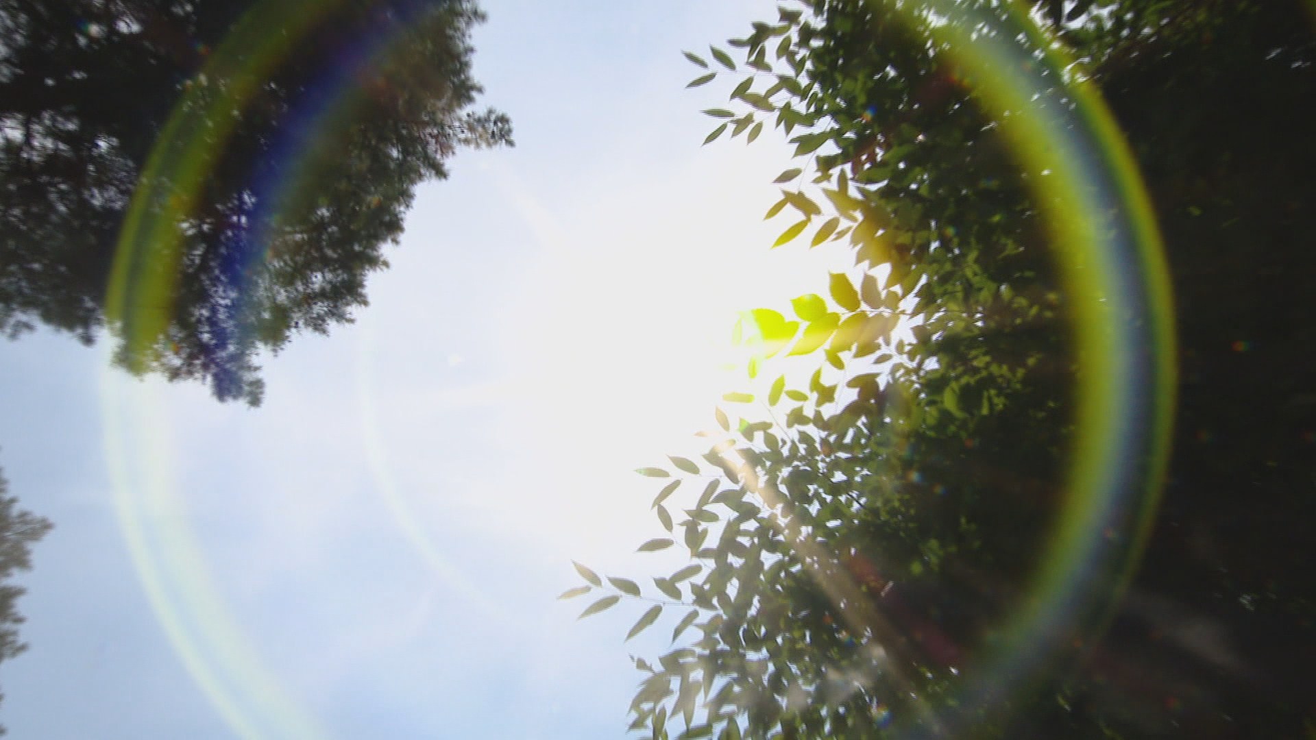 낮 폭염·밤 선선…주 중반 전국 장맛비