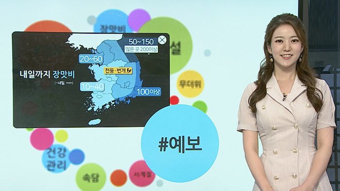 [<em class='find'>날씨</em>트리] 장마와 관련된 속설…제비가 낮게 날면 비가 온다?