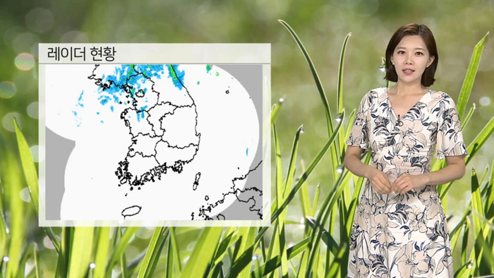 [날씨] 오후 흐리고 빗방울…<em class='find'>영동</em>은 내일까지 장맛비