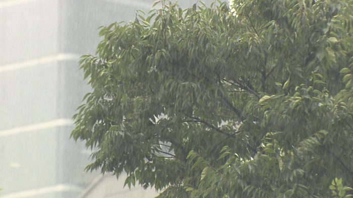 강원 <em class='find'>영동</em> 200㎜ 넘는 호우…내일 다시 장마 소강