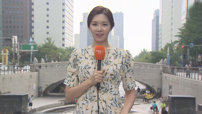 [<em class='find'>날씨</em>] 더위 속 곳곳 소나기…제주·남해안 장맛비