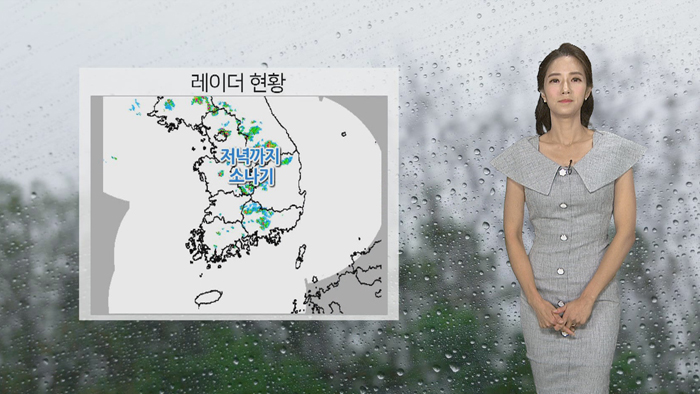 [<em class='find'>날씨</em>] 후텁지근한 휴일…내륙 곳곳 소나기