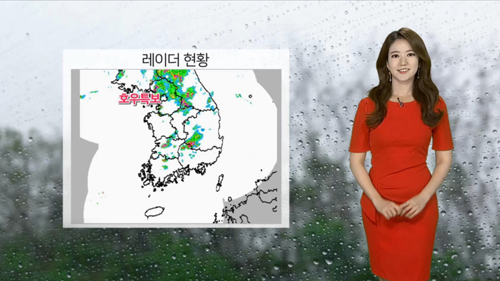 [<em class='find'>날씨</em>] 내일도 요란한 소나기…주후반 충청이남 장맛비