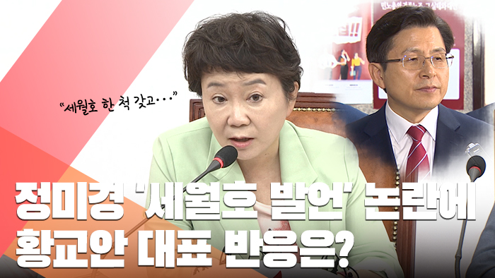 정미경 "세월호 한척으로 이긴 문대통령" 막말 논란…발언 어땠길래?