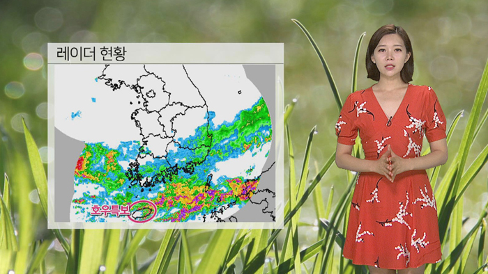 [<em class='find'>날씨</em>] 충청이남 장맛비…수도권 폭염 속 소나기
