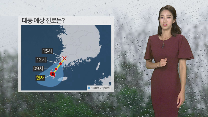 [날씨] 태풍 '다나스' 전남 해안 접근 중…내일까지 비바람