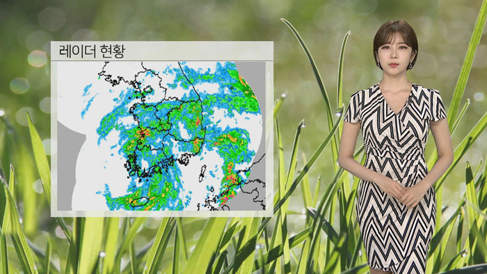 [날씨] 태풍 소멸했지만 비바람 계속…내일 오후 대부분 그쳐