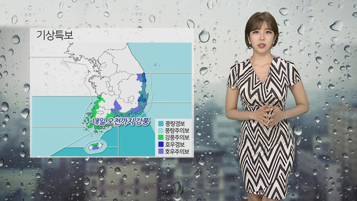 [날씨] 태풍 소멸, 비바람 계속…남부 100mm↑