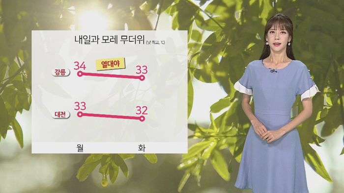 [<em class='find'>날씨</em>] 월요일 무더위…서울 등 곳곳 폭염주의보