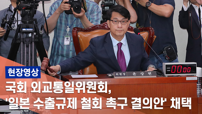 [현장] 국회 외교통일위, '日 수출규제 철회 촉구 결의안' 채택