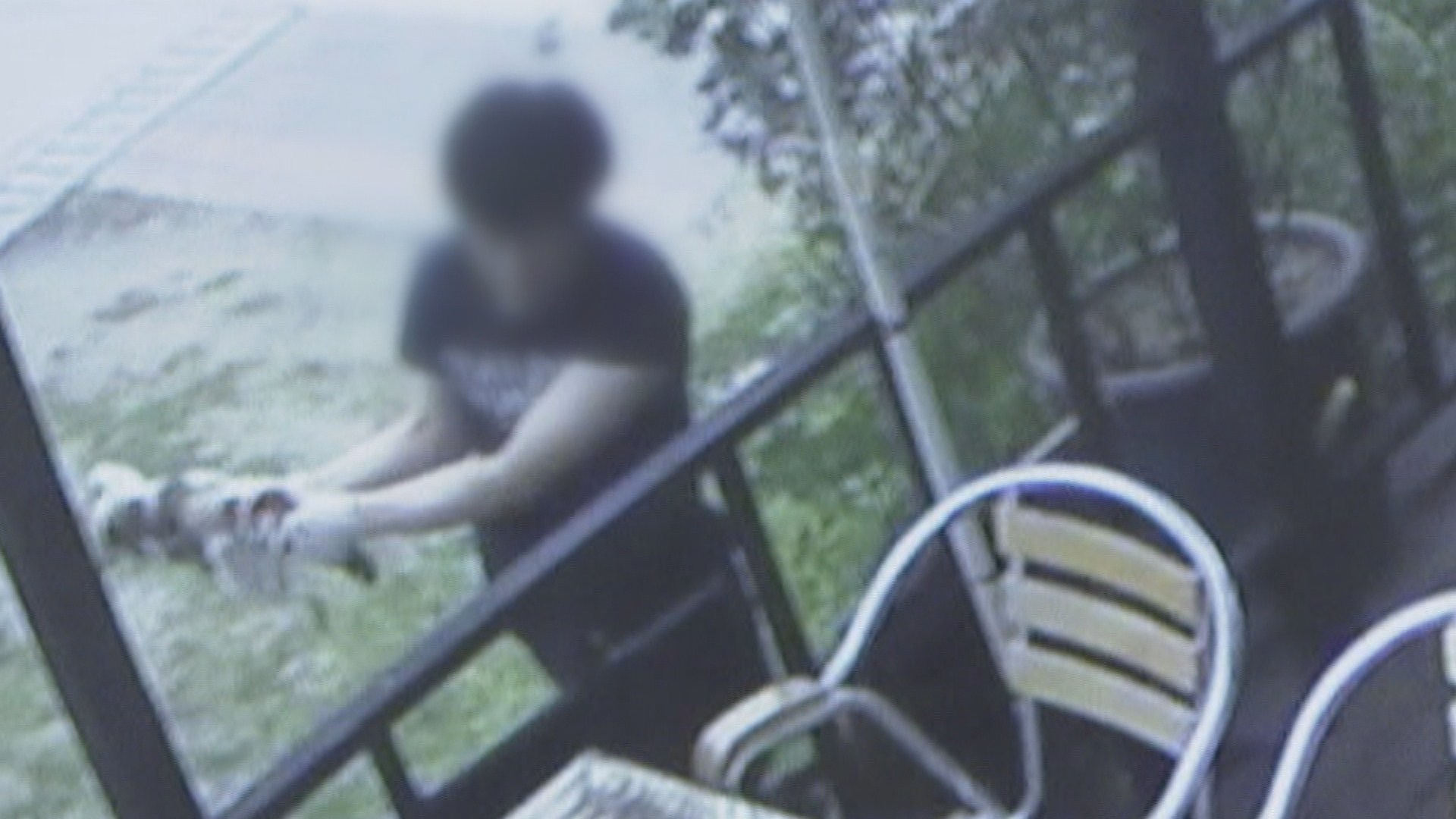 '경의선 숲길 고양이 학대' 30대 영장심사