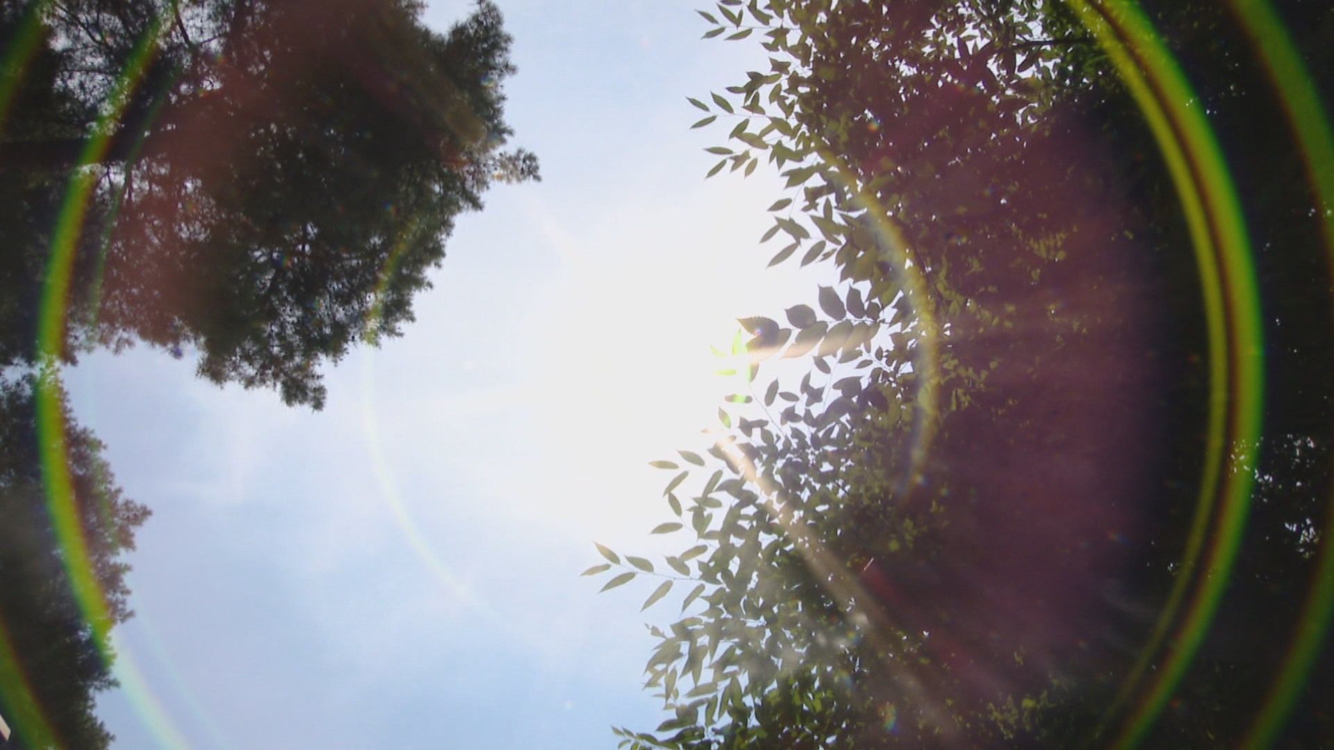 전국 폭염특보…당분간 밤낮없는 '찜통더위'