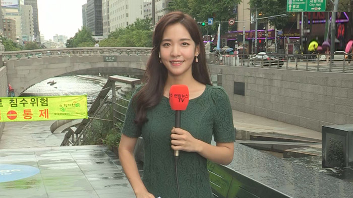 [날씨] 내일 아침까지 중부 국지성 호우…남부 무더위