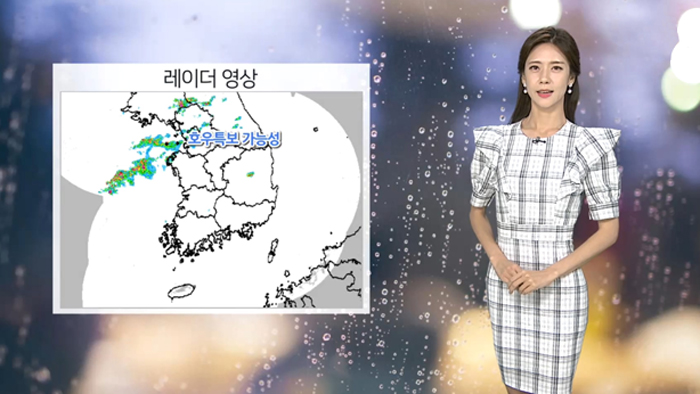 [날씨] 수도권 집중 호우…시간당 30mm 이상