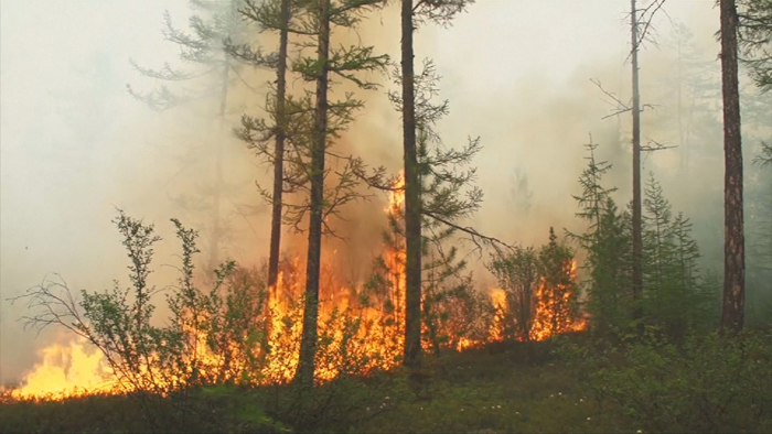 시베리아 대규모 산불…"남한의 약 3<em class='find'>분</em>의1 불타"