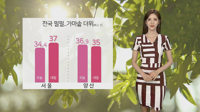 [날씨] 찜통 더위 속 내륙 소나기…태풍 북상 중