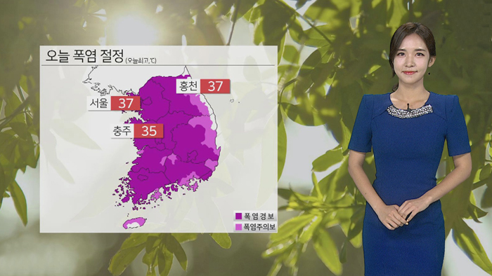 [날씨] 폭염 절정 '서울 37도'…내일부터 태풍 영향