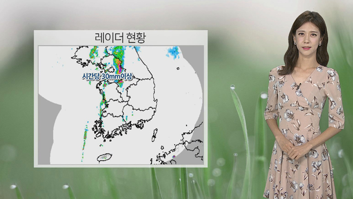 [날씨] 내일 새벽까지 중부 비…다시 무더운 날씨