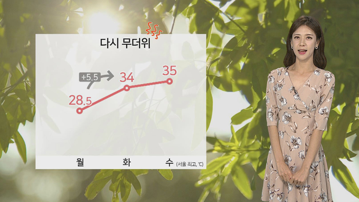 [날씨] 폭염특보 확대·강화…전국적으로 더위 기승