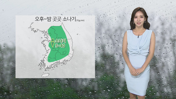 [날씨] 전국 폭염특보 '서울 34도'…더위 속 소나기